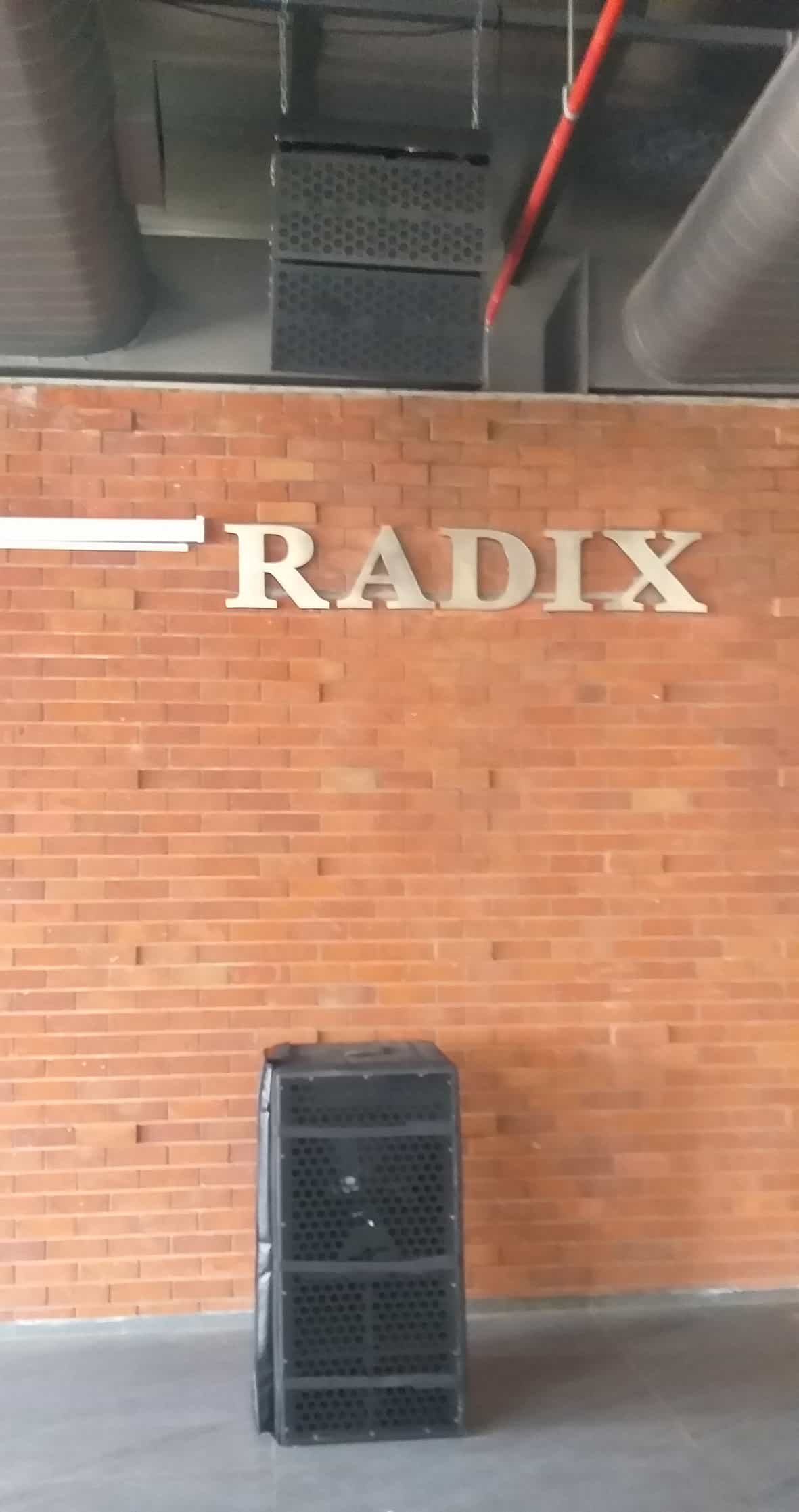 N-Labs reinforce sound at Radixweb 